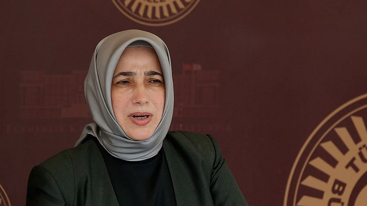AK Partili Zengin, tahliye edilen Dilruba Kayserilioğlu'nun hâlâ ceza alabileceğini söyledi.