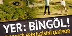 Attira l'attenzione dei visitatori! 