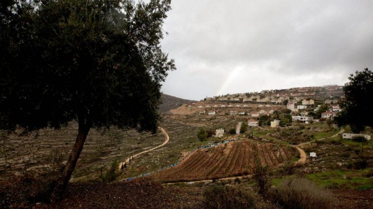 İsrail, işgal altındaki Batı Şeria’da Filistinlilere ait 8 bin dönüm araziye el koydu