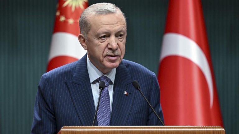Cumhurbaşkanı Erdoğan, Ayşe Ateş'i kabul etti