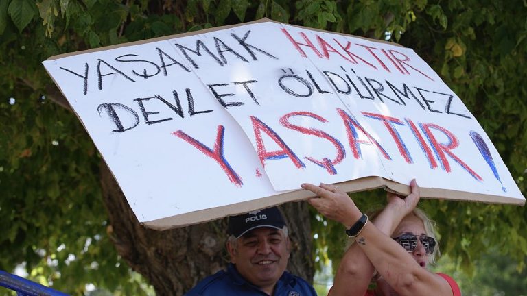 Sokak hayvanı yasa tasarısı: “Ötenazi” kelimesi kaldırıldı, kediler kapsam dışı
